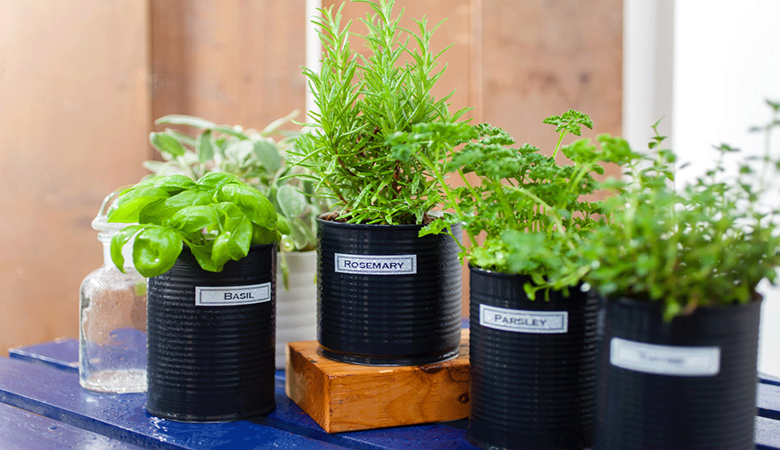 Planter med labels